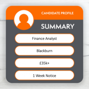 Finance Analyst