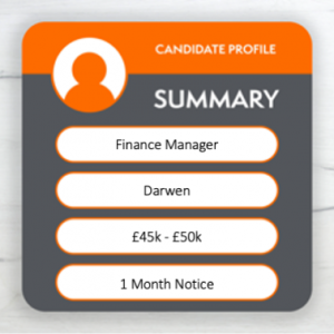 Finance Manager